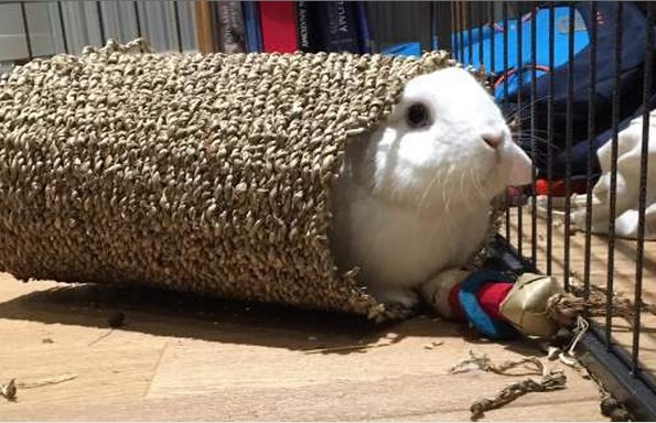 Игрушки для кролика - туннель из циновки