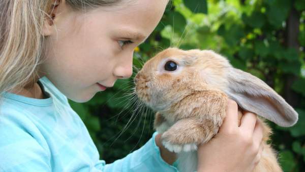 Кролики и дети