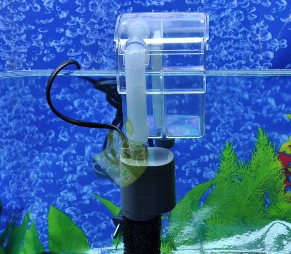 Чистая вода в аквариуме – фильтрация